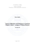 Aspects of Blackness and Whiteness in American Popular Culture - example of Whitney Houston