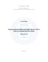 Utjecaj međunarodnih trgovinskih odnosa SAD-a i Kine na svjetsku trgovinu robom