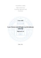 Lean i Kaizen metodologija u prehrambenoj industriji