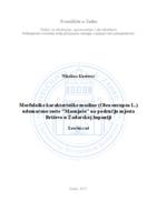 prikaz prve stranice dokumenta Morfološke karakteristike masline (Olea europea L.) udomaćene sorte ''Masnjače'' na području mjesta Briševo u Zadarskoj županiji