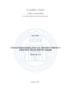 prikaz prve stranice dokumenta Utjecaj kompenzacijskog sustava na zadovoljstvo klijenata u bankarskom sektoru Zadarske županije