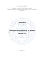 prikaz prve stranice dokumenta La situation sociolinguistique en Belgique
