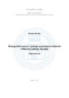 prikaz prve stranice dokumenta Demografski izazovi i rješenja na primjeru Zadarske i Šibensko-kninske županije