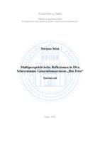 prikaz prve stranice dokumenta Multiperspektivische Reflexionen in Elva Schevemanns Generationenroman „Das Foto“