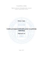prikaz prve stranice dokumenta Analiza promjena baštinskih praksi na području Saborskog